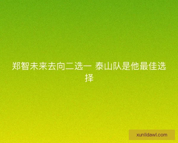 郑智未来去向二选一 泰山队是他最佳选择